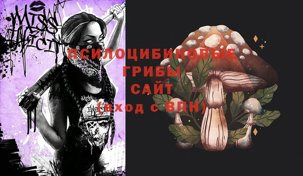 прущие крисы Богданович