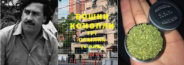 прущие крисы Богданович
