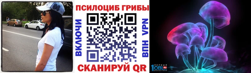 Галлюциногенные грибы мицелий  Будённовск 