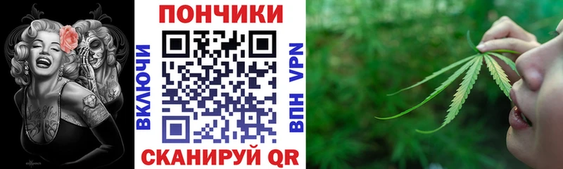 что такое   Будённовск  Бошки Шишки SATIVA & INDICA 